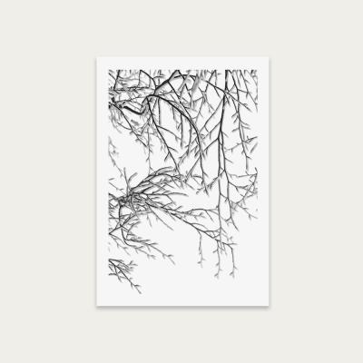 Bombinate.com Snowy Days Art Print Unframed