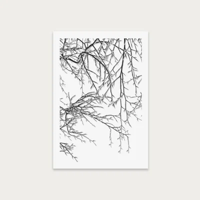 Bombinate.com Snowy Days Art Print Unframed