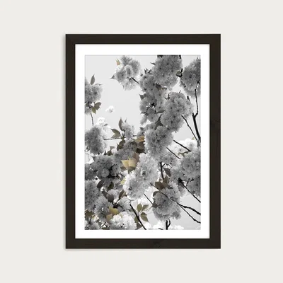 Bombinate.com White Spring Blossoms Art Print Black Frame