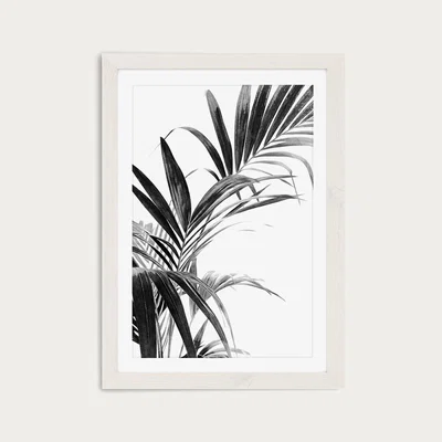 Bombinate.com Palm Leaves Black and White 3 Art Print White Frame