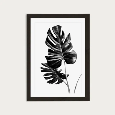 Bombinate.com Monstera Black and White 1 Art Print Black Frame
