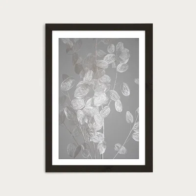 Bombinate.com Honesty - A Branch of Dried Flowers Art Print Black Frame
