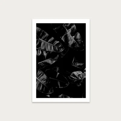 Bombinate.com X-Ray No.29 Art Print Unframed