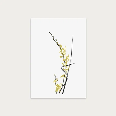 Bombinate.com Flower Minimal Black and Gold 6 Art Print Unframed