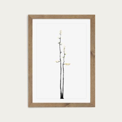 Bombinate.com Bonsai Tree 2 Art Print Oak Frame