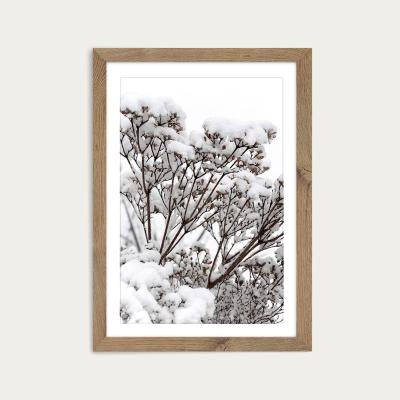 Bombinate.com Snowy White Flower Branches Art Print Oak Frame