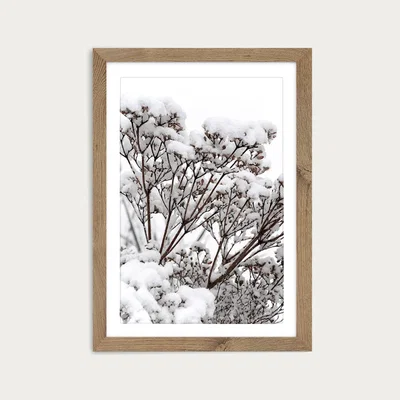 Bombinate.com Snowy White Flower Branches Art Print Oak Frame