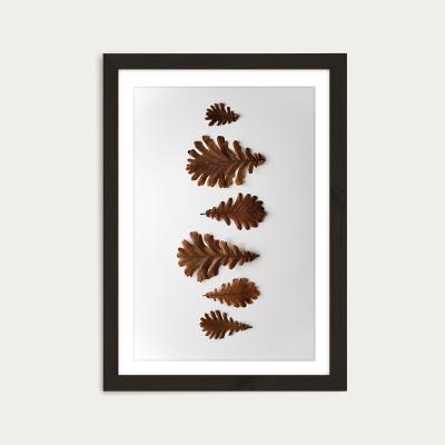 Bombinate.com Shapes - Oak Leaf’s Art Print Black Frame