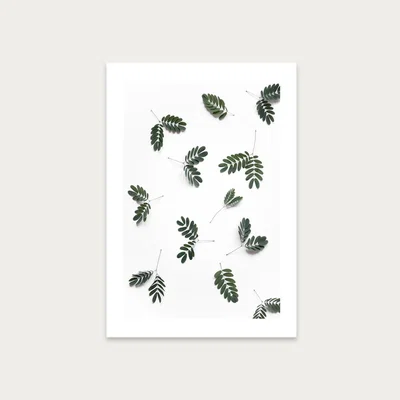 Bombinate.com The Beauty of Mother Nature Art Print Unframed