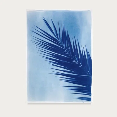 Bombinate.com Palm Leaf Over Blue Sky Handmade Cyanotype Art Print