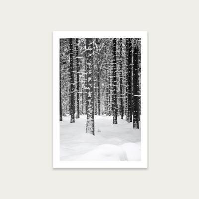 Bombinate.com Deep Dark White Forest Art Print Unframed