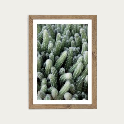 Bombinate.com Green Cactus Garden Art Print Oak Frame