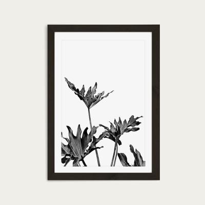 Bombinate.com Monstera Black and White 8 Art Print Black Frame
