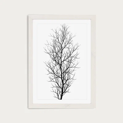 Bombinate.com The Black Tree Art Print White Frame
