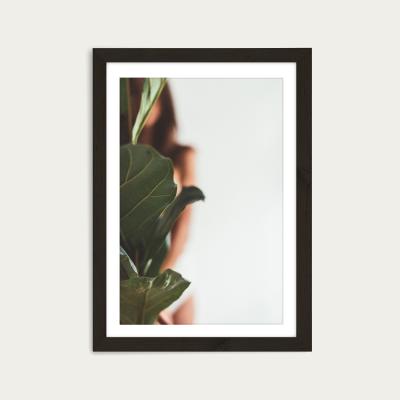 Bombinate.com Ficus Lyrata 1 Art Print Black Frame