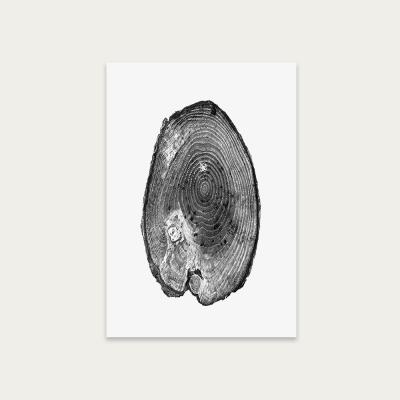 Bombinate.com Pine Set I Art Print Unframed