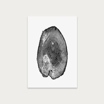 Bombinate.com Pine Set I Art Print Unframed