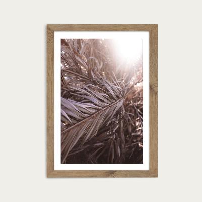 Bombinate.com Bleached Palms Art Print Oak Frame