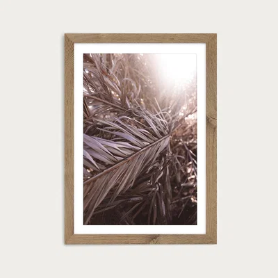 Bombinate.com Bleached Palms Art Print Oak Frame