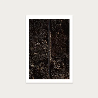 Bombinate.com Blackland Art Print Unframed