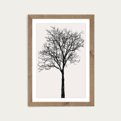 Bombinate.com Black Birch Art Print Oak Frame