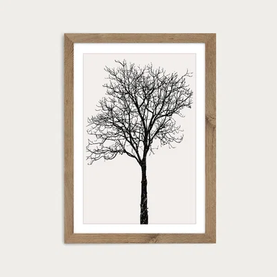 Bombinate.com Black Birch Art Print Oak Frame