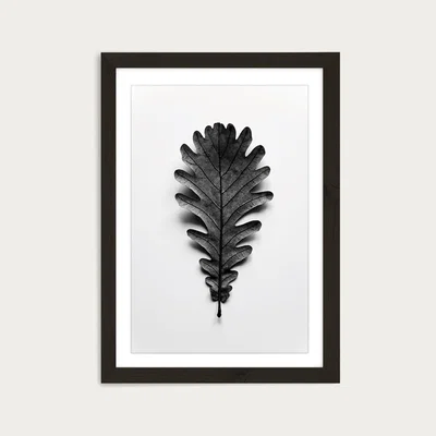 Bombinate.com Autumn Treasures - Black Oak Leaf Art Print Black Frame