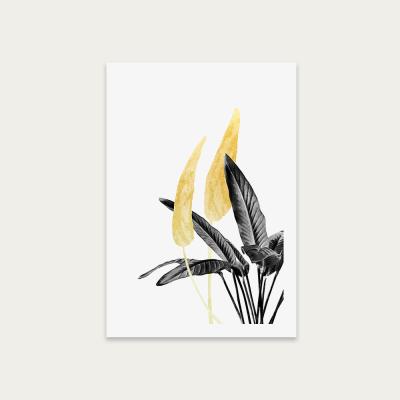 Bombinate.com Bird of Paradise Plant Black White and Gold 1 Art Print Unframed