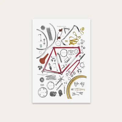 Bombinate.com Unframed Anatomy Of A Bicycle Art Print