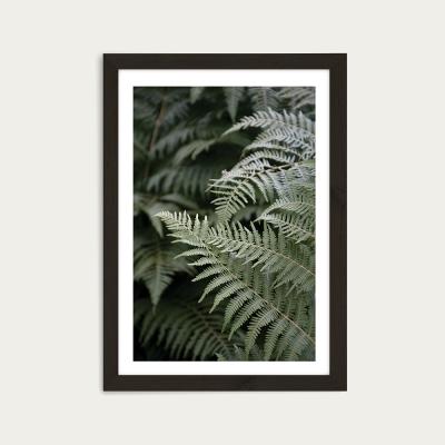Bombinate.com Forest Mood Art Print Black Frame