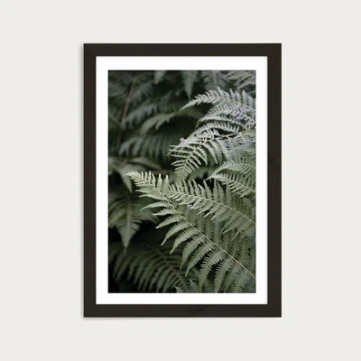 Bombinate.com Forest Mood Art Print Black Frame