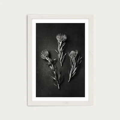 Bombinate.com Monochrome Pins 1 Art Print White Frame