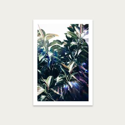 Bombinate.com Bliss Art Print Unframed