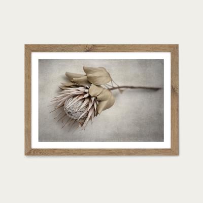 Bombinate.com Everlasting LS Art Print Oak Frame