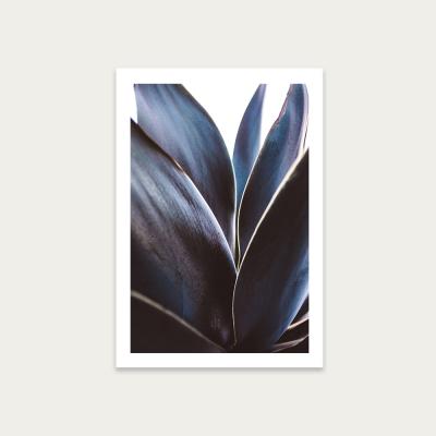 Bombinate.com Blue Agave Art Print Unframed