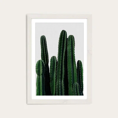 Bombinate.com Cactus Art Print White Frame