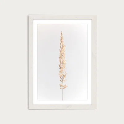 Bombinate.com Minimal Pampas Grass on White Art Print White Frame