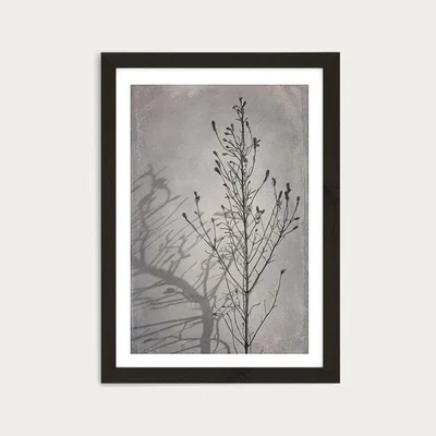 Bombinate.com Shadowplay 1 Art Print Black Frame
