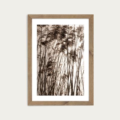 Bombinate.com Grasses In The Golden Sunset Art Print Oak Frame