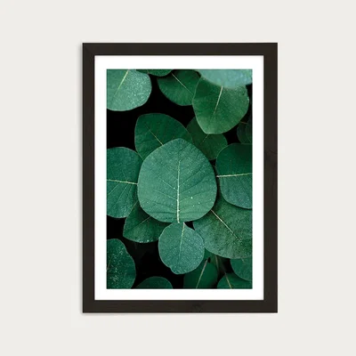 Bombinate.com No Leaves No Life Art Print Black Frame