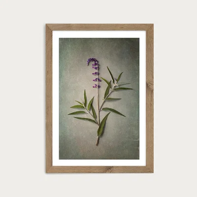 Bombinate.com Foraged 4 Art Print Oak Frame