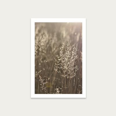 Bombinate.com Good Morning Art Print Unframed