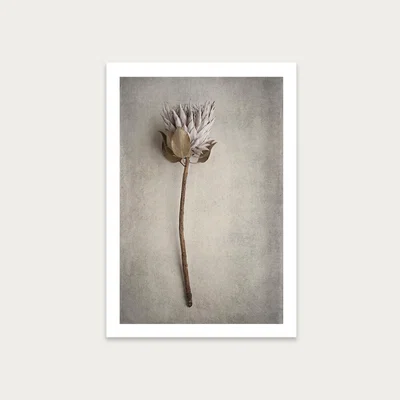 Bombinate.com Everlasting 2 Art Print Unframed