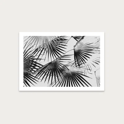 Bombinate.com Tropical No. 5 Art Print Unframed