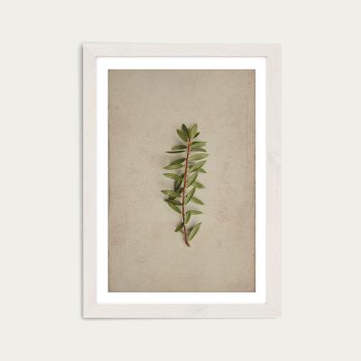 Bombinate.com Fynbos 7 Art Print White Frame