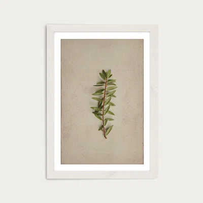 Bombinate.com Fynbos 7 Art Print White Frame