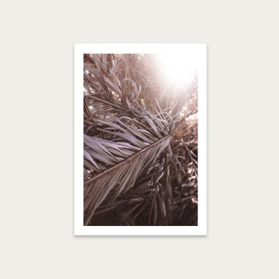 Bombinate.com Bleached Palms Art Print Unframed