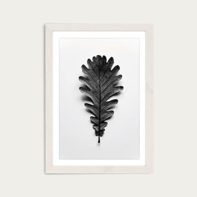 Bombinate.com Autumn Treasures - Black Oak Leaf Art Print White Frame