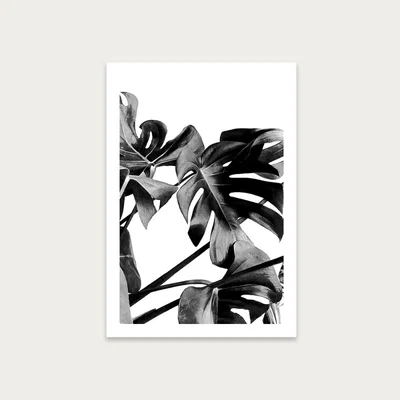 Bombinate.com Monstera Black and White 6 Art Print Unframed