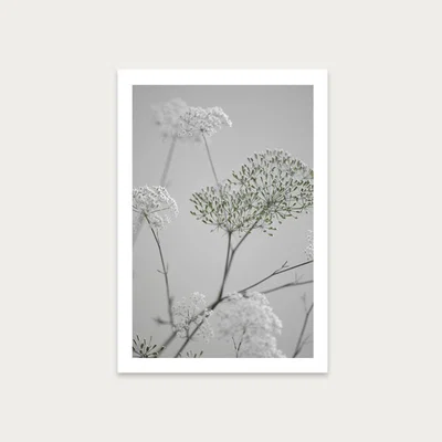 Bombinate.com White Greige Flower Blossoms Art Print Unframed